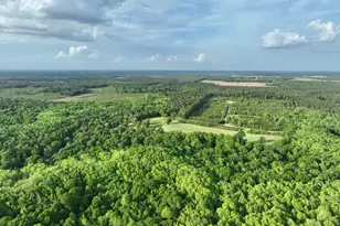 47 Southgate Ln, Hawkinsville, GA 31036 - Photo 69