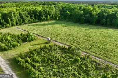 47 Southgate Lane, Hawkinsville, GA 31036 - Photo 3