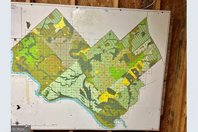 47 Southgate Lane, Hawkinsville, GA 31036 - Photo 57