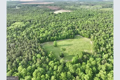 47 Southgate Lane, Hawkinsville, GA 31036 - Photo 71