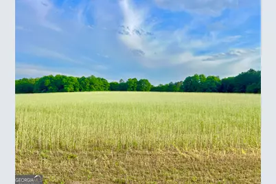 47 Southgate Lane, Hawkinsville, GA 31036 - Photo 5
