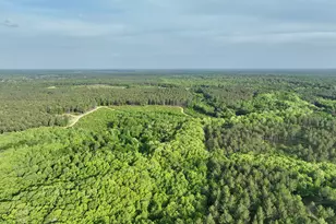 47 Southgate Ln, Hawkinsville, GA 31036 - Photo 73