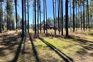 47 Southgate Ln, Hawkinsville, GA 31036 - Photo 9