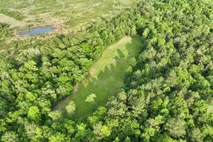 47 Southgate Ln, Hawkinsville, GA 31036 - Photo 77