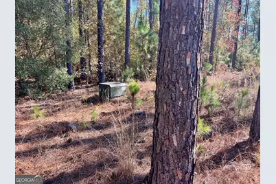 47 Southgate Lane, Hawkinsville, GA 31036 - Photo 21