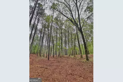 5234 Lake Crest Drive, Sparta, GA 31087 - Photo 7