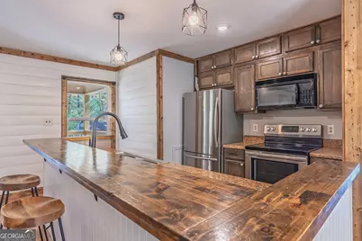 334 Ponderosa Road, Ellijay, GA 30540 - Photo 3