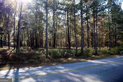 511 Jamesway Drive, Sparta, GA 31087 - Photo 3
