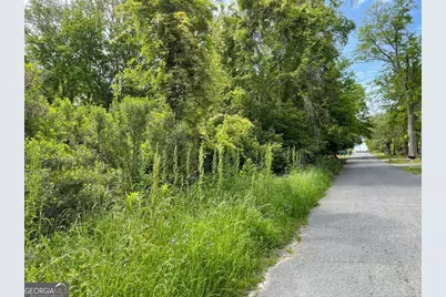 209 Lively Street, Vidalia, GA 30474 - Photo 5