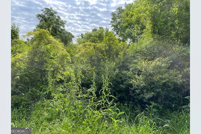 209 Lively Street, Vidalia, GA 30474 - Photo 3