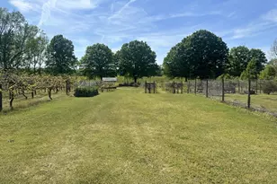 308 Deer Run, Williamson, GA 30292 - Photo 5