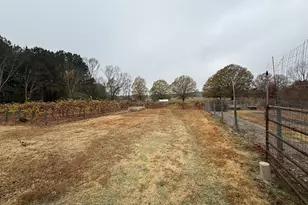 308 Deer Run, Williamson, GA 30292 - Photo 13