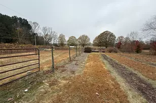 308 Deer Run, Williamson, GA 30292 - Photo 15