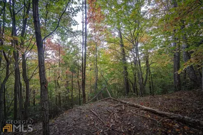 0 Mountain View Drive, Cleveland, GA 30528 - Photo 17