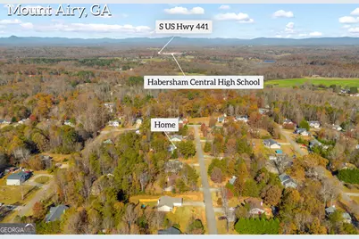 357 Sundew Lane, Mount Airy, GA 30563 - Photo 49