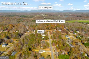 357 Sundew Ln, Mount Airy, GA 30563 - Photo 49