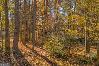 357 Sundew Lane, Mount Airy, GA 30563 - Photo 51