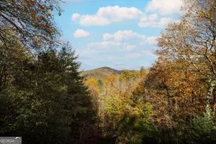 254 Aries Ln, Blue Ridge, GA 30513 - Photo 3