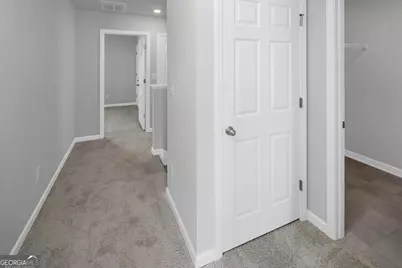 197 Lauritsen Way, Newnan, GA 30265 - Photo 27