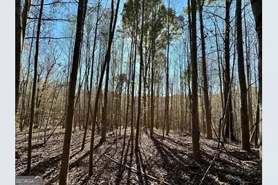 0 Sheep Pasture Road, Commerce, GA 30529 - Photo 29