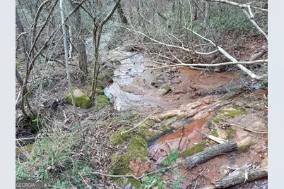 0 Sheep Pasture Road, Commerce, GA 30529 - Photo 5