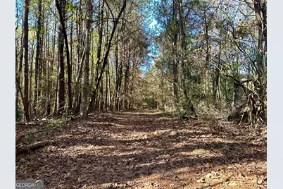 0 Sheep Pasture Road, Commerce, GA 30529 - Photo 33