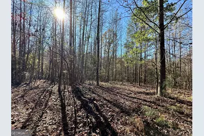 0 Sheep Pasture Road, Commerce, GA 30529 - Photo 27