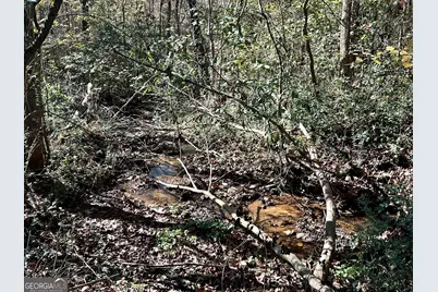 0 Sheep Pasture Road, Commerce, GA 30529 - Photo 25