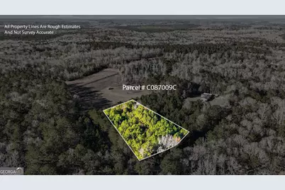 0 Giles Road, Fort Valley, GA 31030 - Photo 1