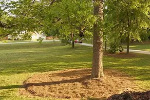 253 River Rd, McDonough, GA 30252 - Photo 7