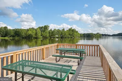 3 Briar Grove, Newnan, GA 30265 - Photo 57