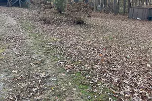 56 Carin Ln, Lakemont, GA 30552 - Photo 15