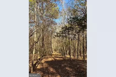 16475 Georgia 16, Monticello, GA 31064 - Photo 5