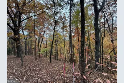 355 Orieole Court, Ranger, GA 30734 - Photo 1