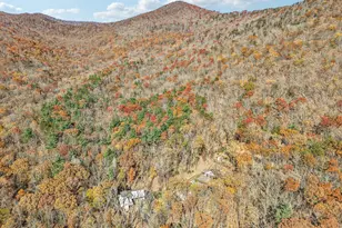 105 Thurmond Walker Rd, Dahlonega, GA 30533 - Photo 93