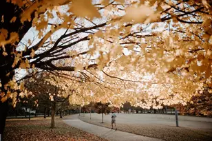 81 Clay St SE, Atlanta, GA 30317 - Photo 47