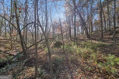 29 Pigeon Creek Drive, Dawsonville, GA 30534 - Photo 15