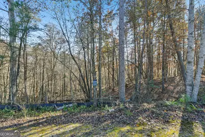 29 Pigeon Creek Drive, Dawsonville, GA 30534 - Photo 7