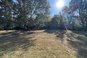 115 Wynn Dr, Albany, GA 31705 - Photo 55