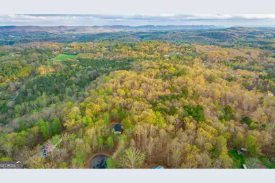 132 Short Hollow Road, Trion, GA 30753 - Photo 45