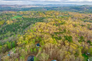 132 Short Holw Rd, Trion, GA 30753 - Photo 45