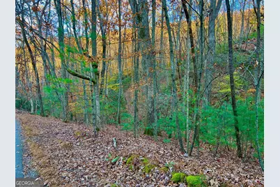 296 Valley View Road, Ellijay, GA 30536 - Photo 17