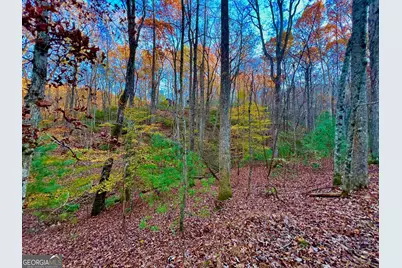 296 Valley View Road, Ellijay, GA 30536 - Photo 5