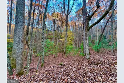 296 Valley View Road, Ellijay, GA 30536 - Photo 7