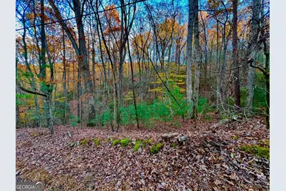 296 Valley View Road, Ellijay, GA 30536 - Photo 11