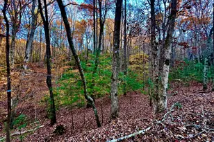 296 Valley View Rd, Ellijay, GA 30536 - Photo 1