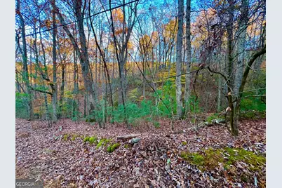 296 Valley View Road, Ellijay, GA 30536 - Photo 13