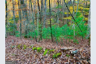 296 Valley View Road, Ellijay, GA 30536 - Photo 15