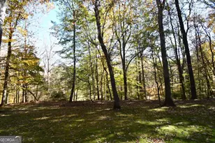 218 Thornhill Dr, Athens, GA 30607 - Photo 65