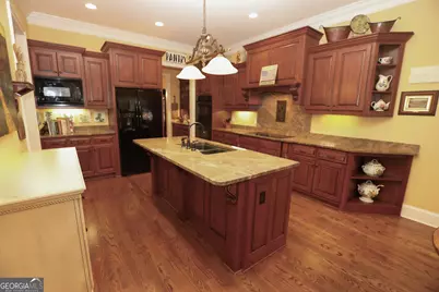 48 Fern Leaf Way, Newnan, GA 30265 - Photo 17